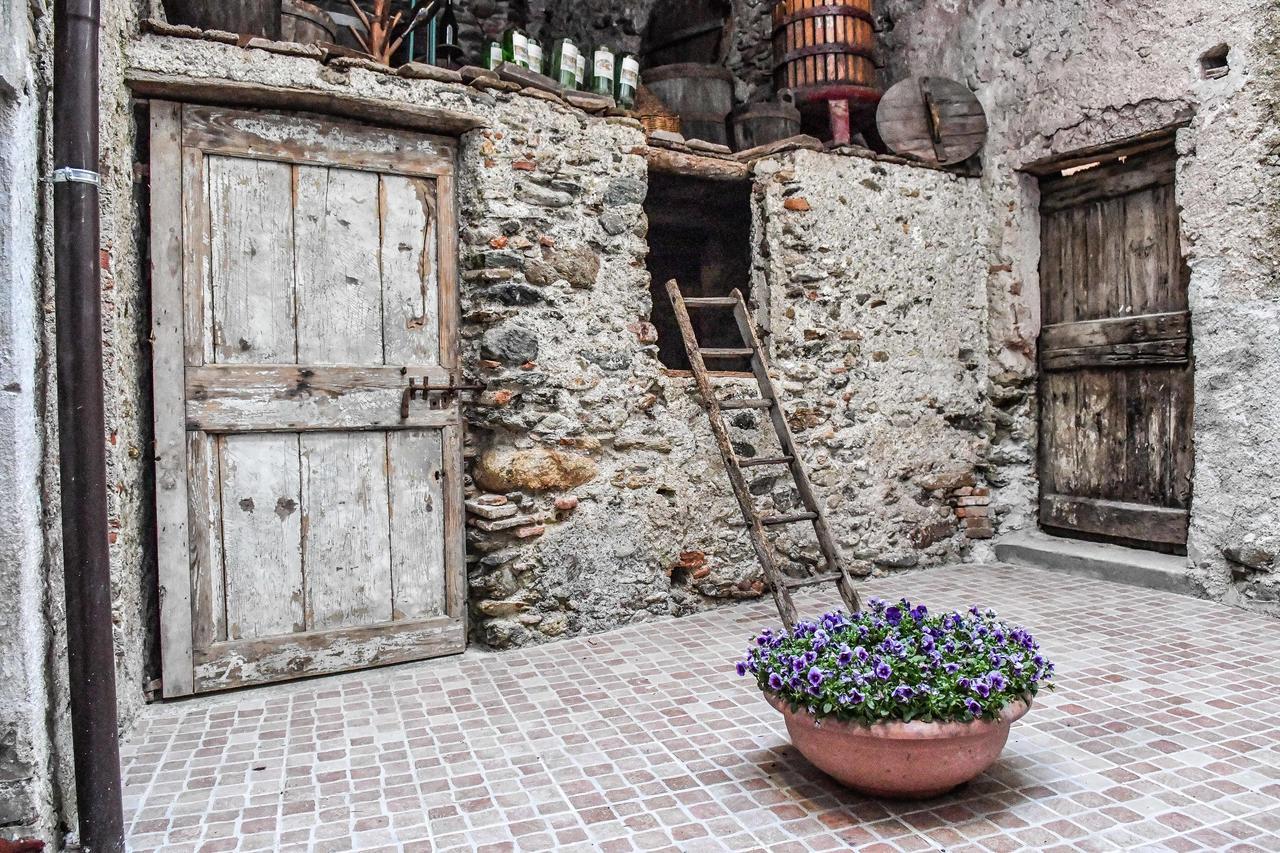 La Terra Di Mingo Bed & Breakfast Vado Ligure Exterior photo